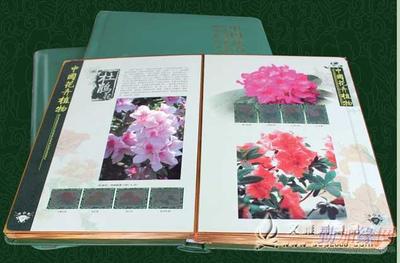 中國(guó)花卉植物郵票珍藏大系 文雅閣禮品網(wǎng)的正品銷售指南