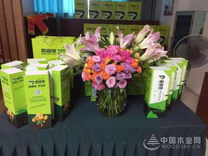 共謀發展，鵬森緣柳州客戶交談會盛大舉行，禮品花卉銷售迎春綻放
